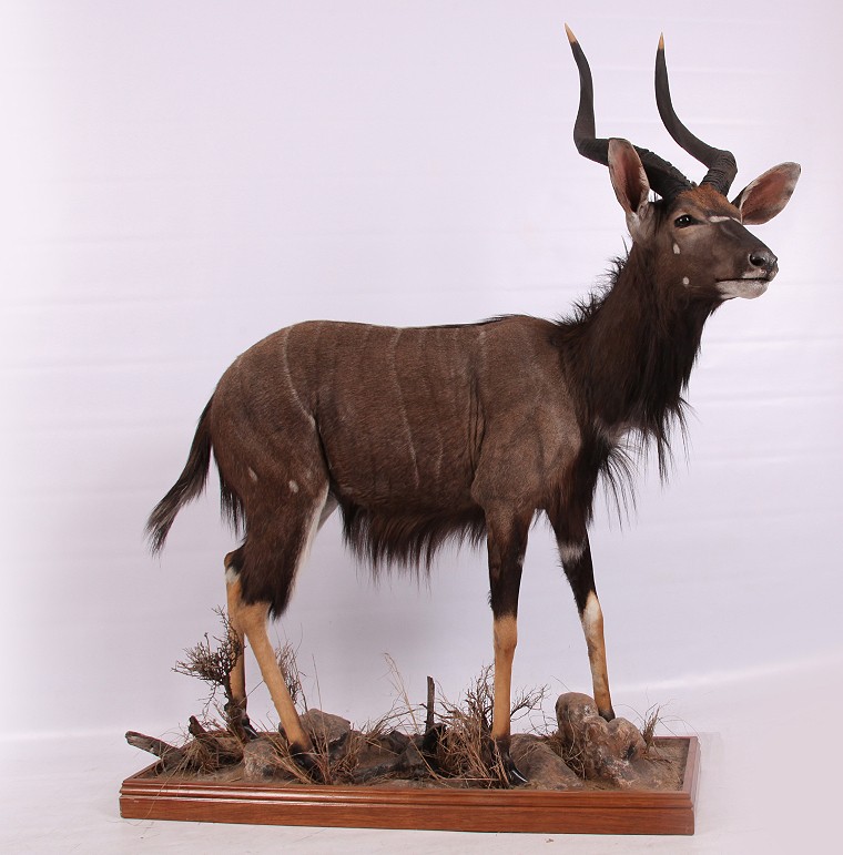 Full Mount